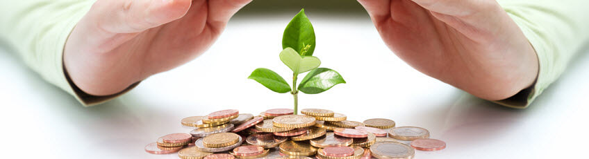 Pile of coins with a plant growing out of the coins