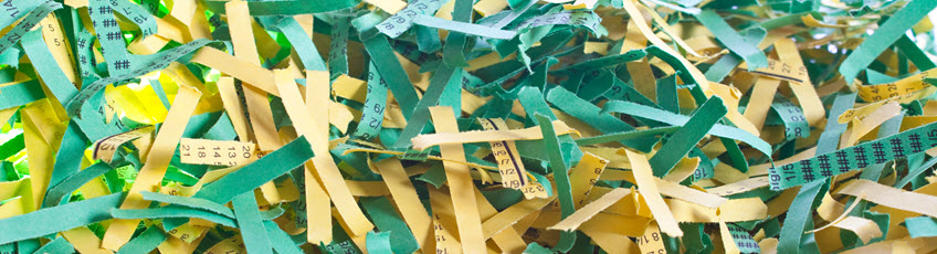 Photo of shredded documents